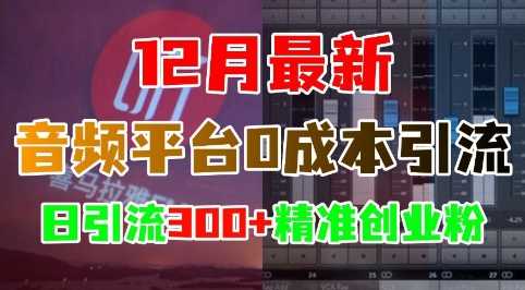 12月最新：音频平台0成本引流，日引流300+精准创业粉-4158创业网