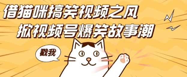借猫咪搞笑视频之风，掀视频号爆笑故事潮，轻松日入四位数，无门槛快速入门!-4158创业网