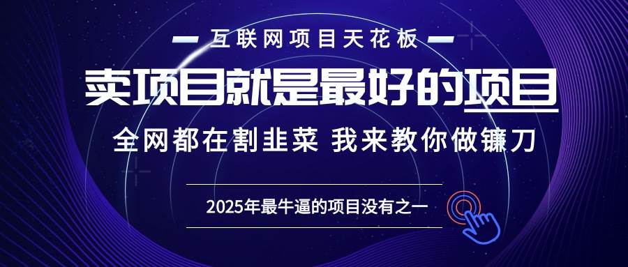 （13662期）2025年普通人如何通过“知识付费”卖项目年入“百万”镰刀训练营超级IP…-4158创业网