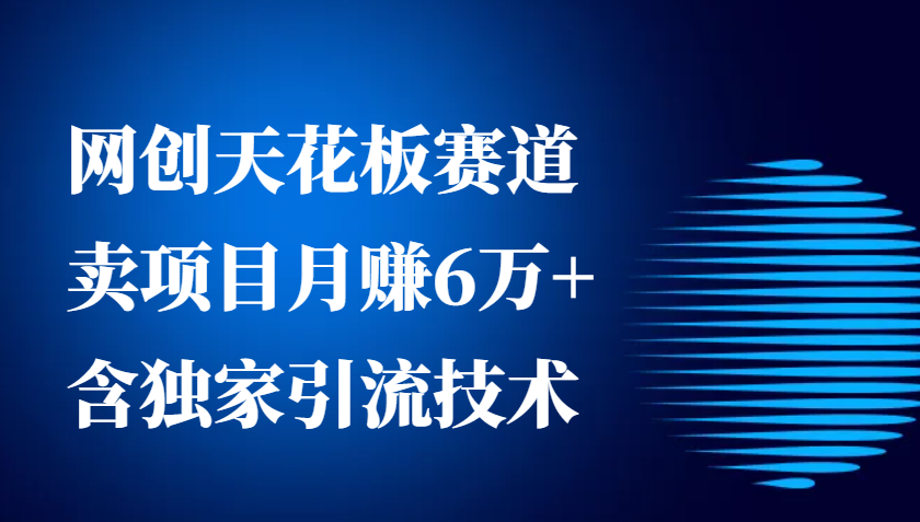 网创天花板赛道，卖项目月赚6万+，含独家引流技术（共26节课）-4158创业网