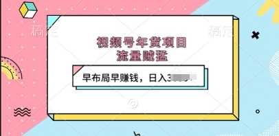 视频号年货项目，流量贼猛，早布局早挣钱，日入上k【揭秘】-4158创业网