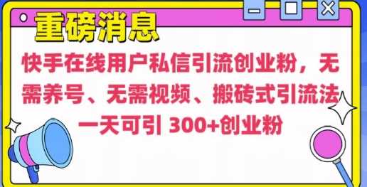 快手最新引流创业粉方法，无需养号、无需视频、搬砖式引流法【揭秘】-4158创业网
