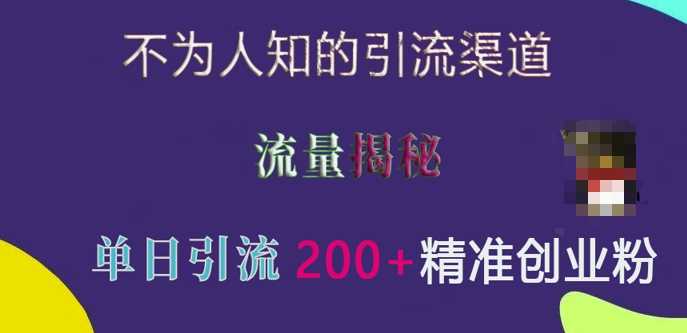 不为人知的引流渠道，流量揭秘，实测单日引流200+精准创业粉【揭秘】-4158创业网