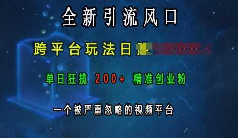 全新引流风口，跨平台玩法日入上k，单日狂揽200+精准创业粉，一个被严重忽略的视频平台-4158创业网