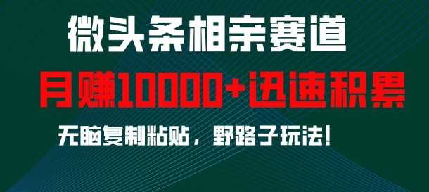 微头条相亲赛道，迅速积累，无脑复制粘贴，野路子玩法，月入1w-4158创业网