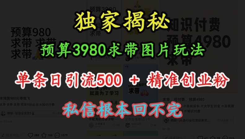 预算3980求带 图片玩法，单条日引流500+精准创业粉，私信根本回不完-4158创业网