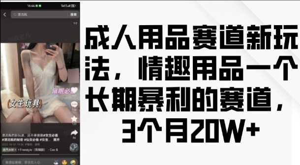 成人用品赛道新玩法，情趣用品一个长期暴利的赛道，3个月收益20个【揭秘】-4158创业网