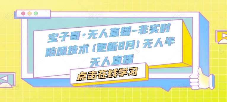 宝子哥·无人直播-非实时防风技术(更新11月)无人半无人直播-4158创业网