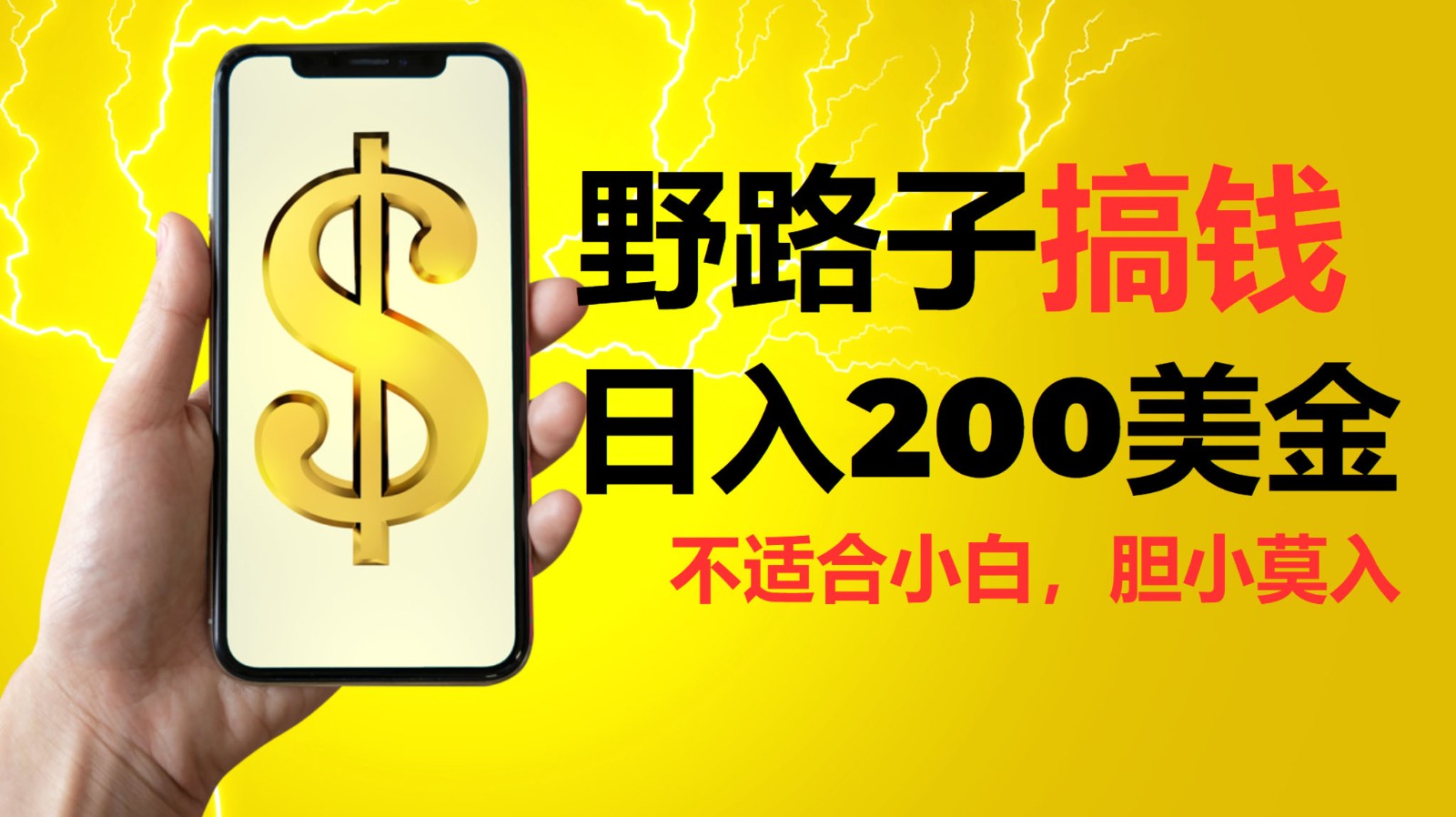 挂机野路子搞钱，日入200美金，路子很野，小白莫入-4158创业网