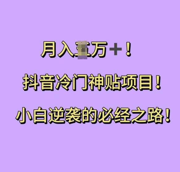 抖音冷门神贴项目，小白逆袭的必经之路，月入过W【揭秘】-4158创业网