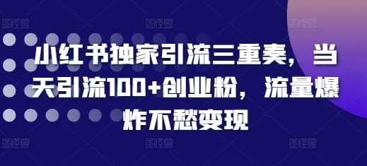 小红书独家引流三重奏，当天引流100+创业粉，流量爆炸不愁变现【揭秘】-4158创业网