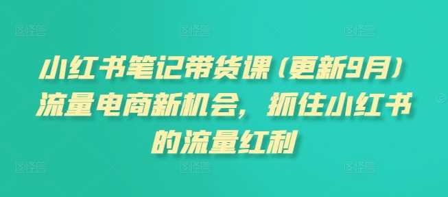 小红书笔记带货课(更新11月)流量电商新机会，抓住小红书的流量红利-4158创业网