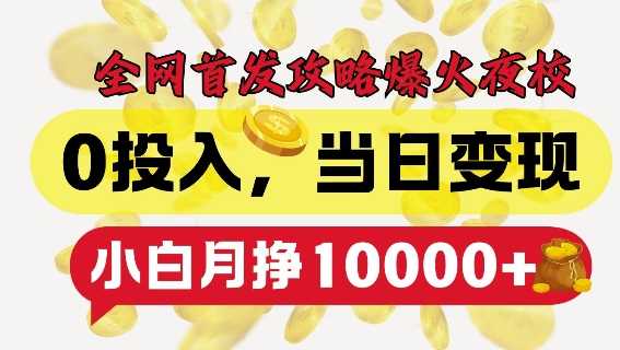 全网首发爆火夜校，0投入，当日变现，小白轻松月入1w+【揭秘】-4158创业网