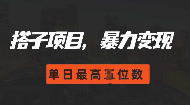 2024搭子玩法，0门槛，暴力变现，单日最高破四位数【揭秘】-4158创业网