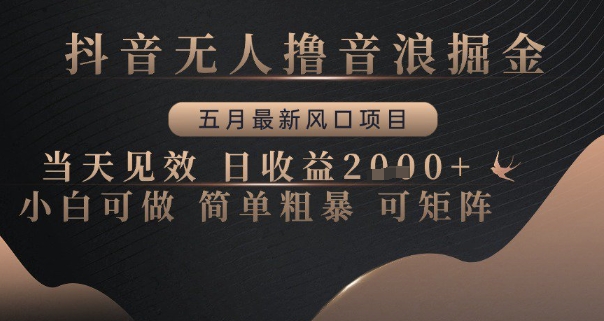 抖音无人撸音浪掘金，五月最新风口项目，当天见效，日收益多张，小白可做简单粗暴可矩阵【揭秘】-4158创业网