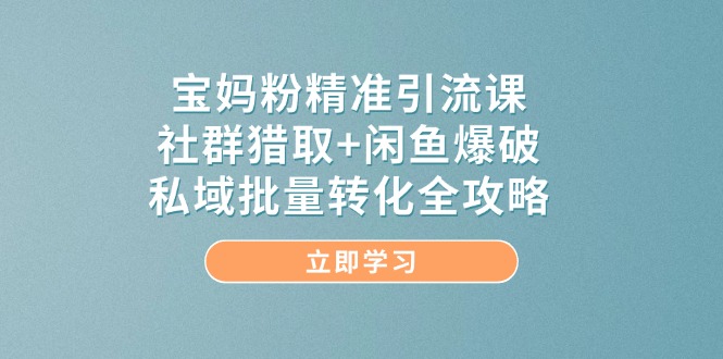 宝妈粉精准引流课，社群猎取+闲鱼爆破，私域批量转化全攻略-4158创业网