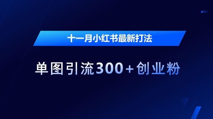 十一月小红书最新打法，单图引流300+创业粉【揭秘】-4158创业网