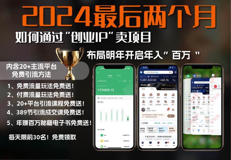 （13322期）2024最后两个月如何通过”创业IP“卖项目年入”百万“,创业IP+最强引流…-4158创业网