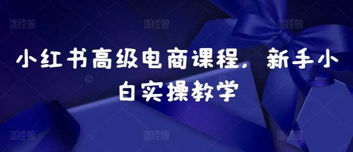 小红书高级电商课程，新手小白实操教学-4158创业网