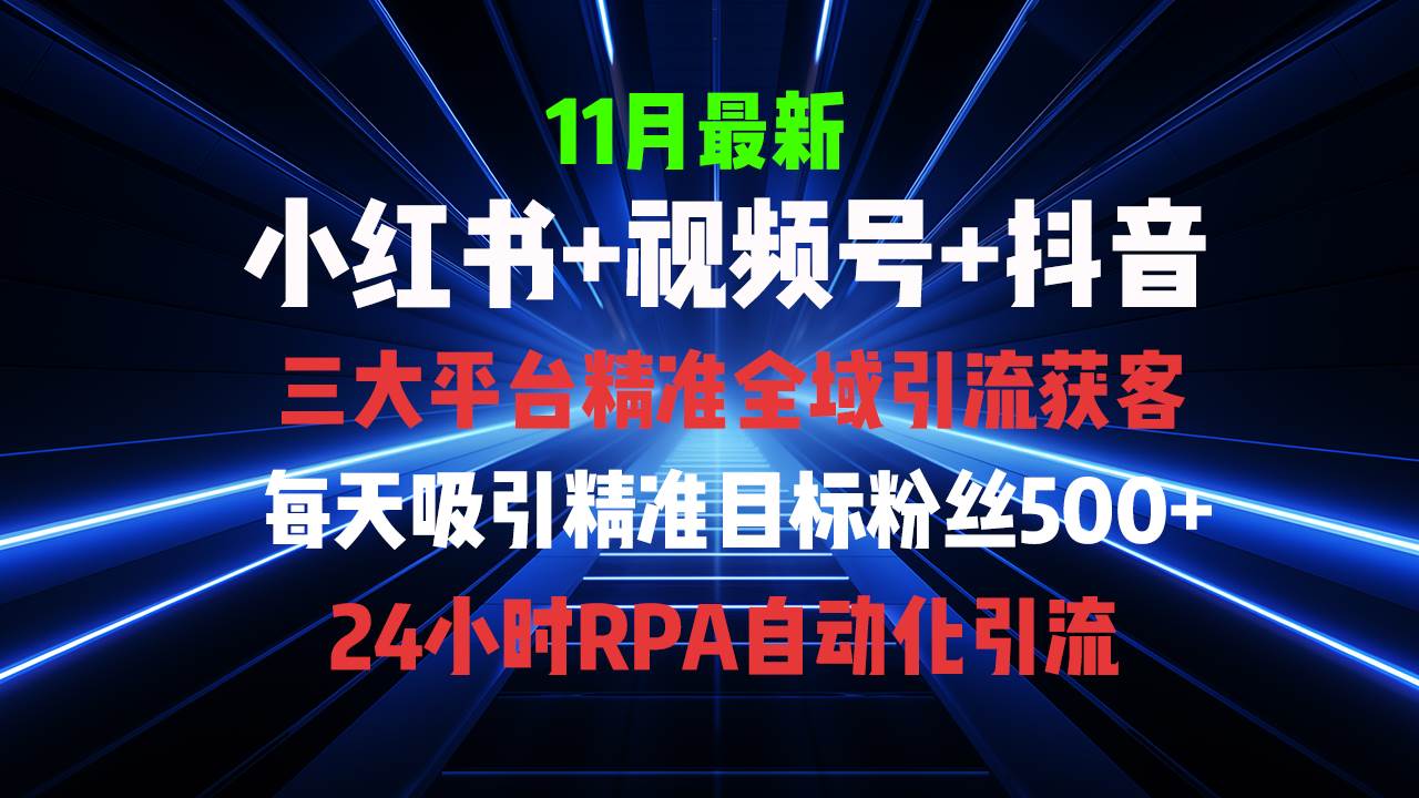 （13259期）全域多平台引流私域打法，小红书，视频号，抖音全自动获客，截流自…-4158创业网