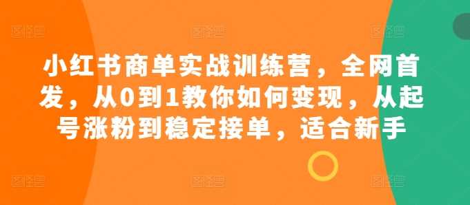 小红书商单实战训练营，全网首发，从0到1教你如何变现，从起号涨粉到稳定接单，适合新手-4158创业网
