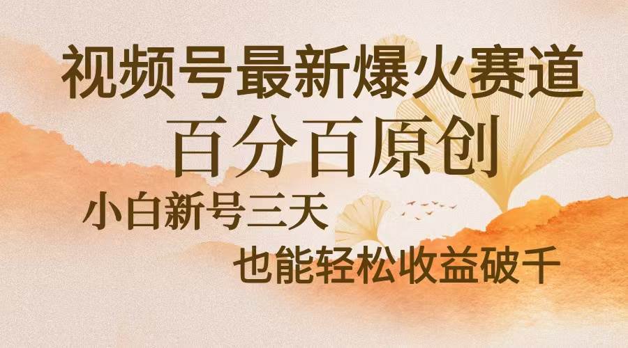 （13225期）视频号最新爆火赛道，中老年粉深信不疑，百分百原创，新号三天收益轻松…-4158创业网