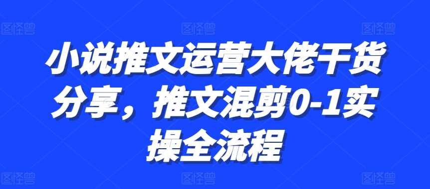 小说推文运营大佬干货分享，推文混剪0-1实操全流程-4158创业网