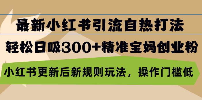 （13145期）最新小红书引流自热打法，轻松日吸300+精准宝妈创业粉，小红书更新后新…-4158创业网