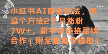 小红书AI商单玩法，用这个方法2个月涨粉7W+，新手也能接品牌合作(附全套指令模板)-4158创业网