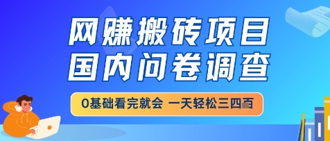 网创搬砖项目，国内问卷调查，小白轻松上手，一天三四张的也不难，干就完了【揭秘】-4158创业网