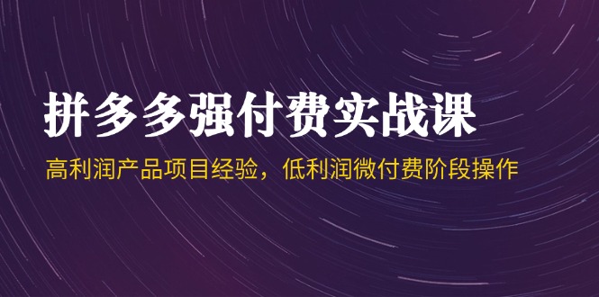 拼多多强付费实战课-44期，高利润产品项目经验，低利润微付费阶段操作-4158创业网