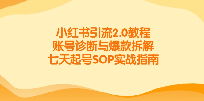 小红书引流2.0教程，账号诊断与爆款拆解，七天起号SOP实战指南-4158创业网