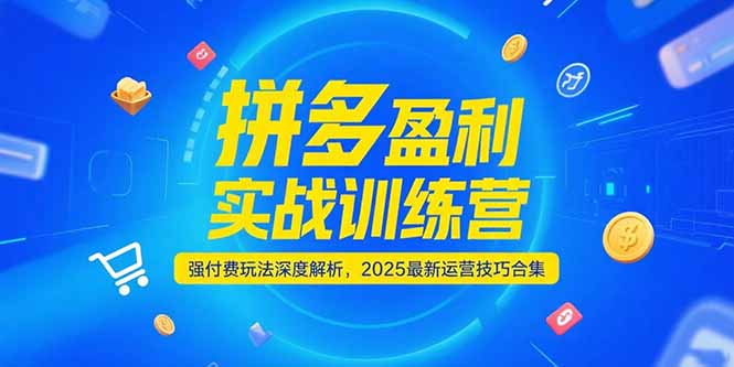 拼多多盈利实战训练营，强付费玩法深度解析，2025运营技巧合集-更新6月-4158创业网