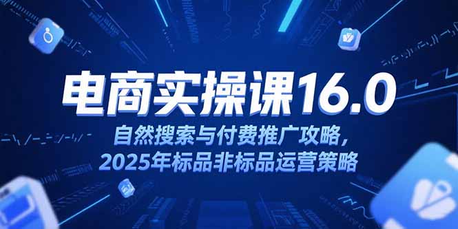 淘宝电商运营课16.0，自然搜索与付费推广攻略，2025年标品非标品运营策略-4158创业网
